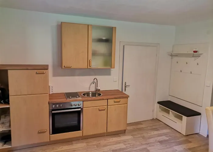 Проживание в семье Steiner *