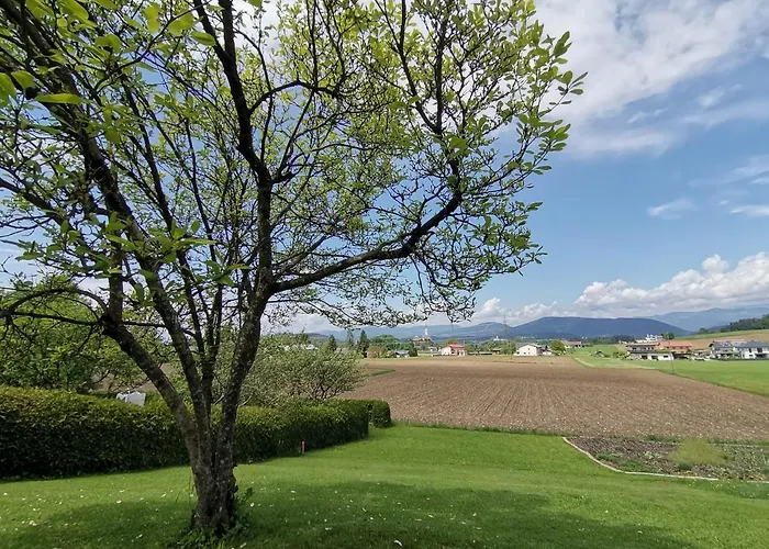 Проживание в семье Steiner