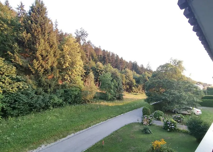 Steiner Kwatera prywatna *