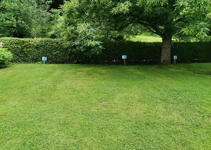 Проживание в семье Steiner *