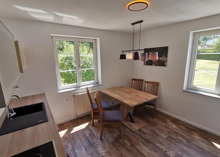 Steiner Проживание в семье *